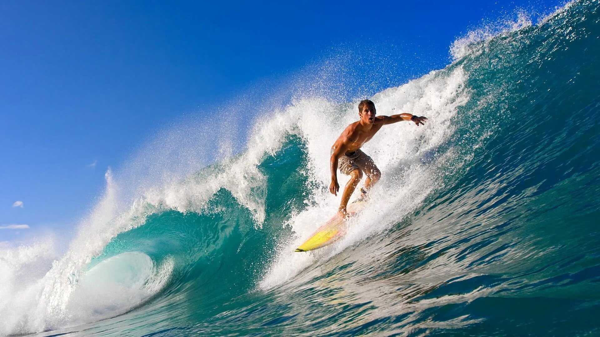 CBA球队强化比赛阅读能力提升临场决策，篮球如何阅读比赛